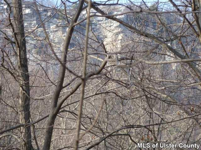3 Durmo Road New Paltz, NY 12561 - Photo 2 of 17 a picture of tree