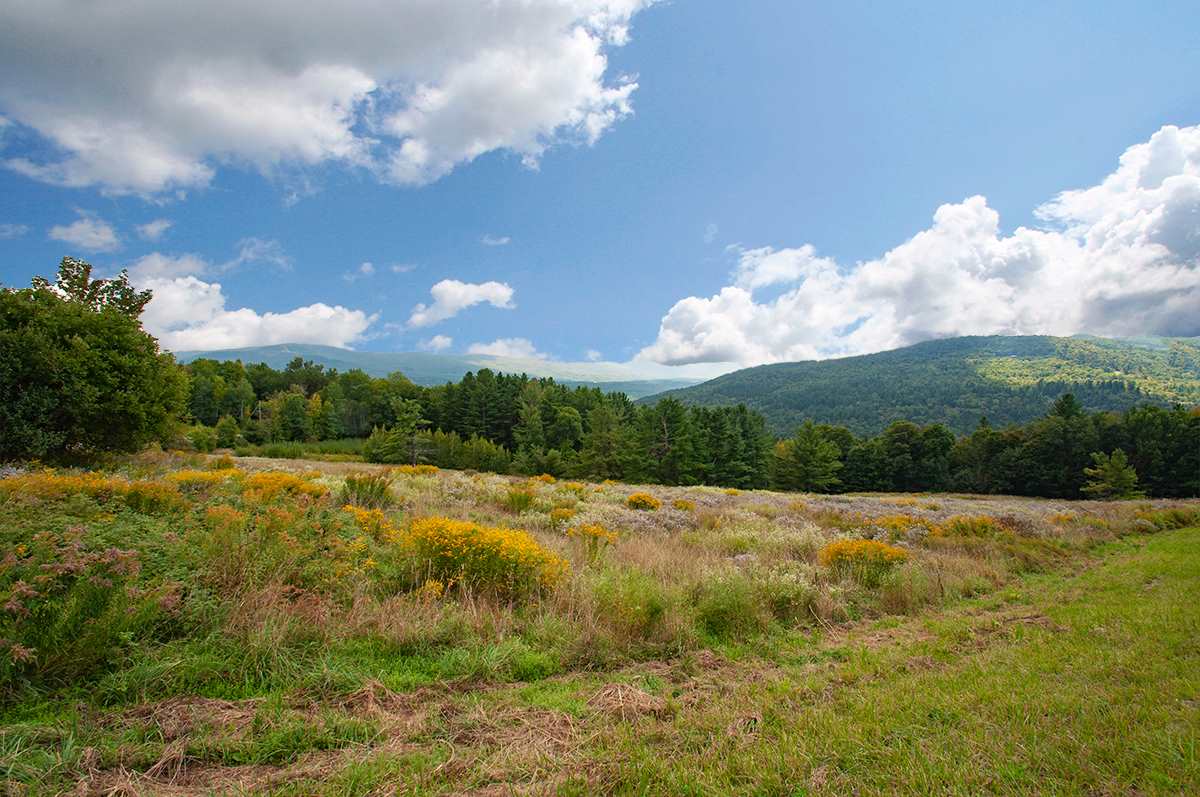 0 Bragg Hill Road Waitsfield, VT 05673 - Photo 1 of 1
