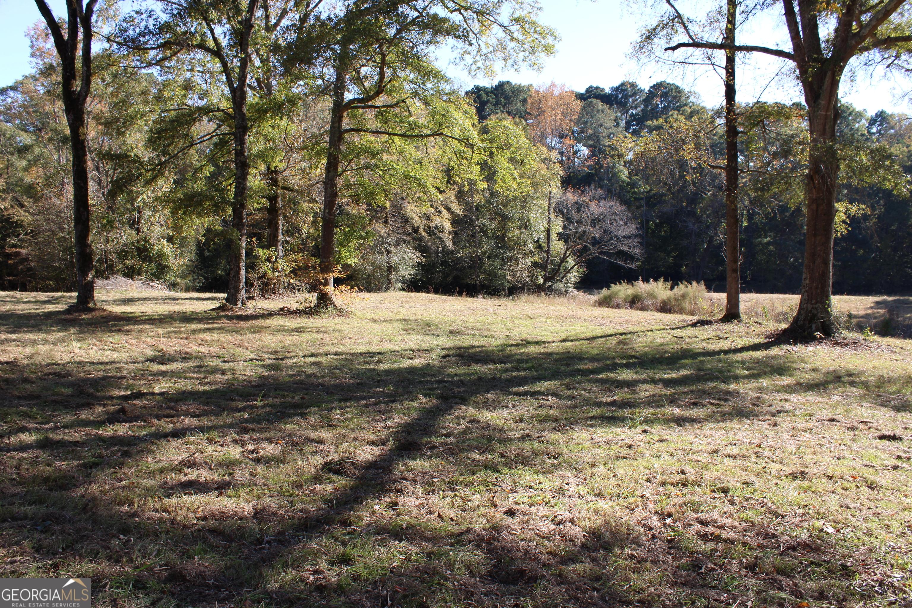 1701 Blue Springs Road Buckhead, GA 30625 - Photo 22 of 24 a view of empty space with large trees