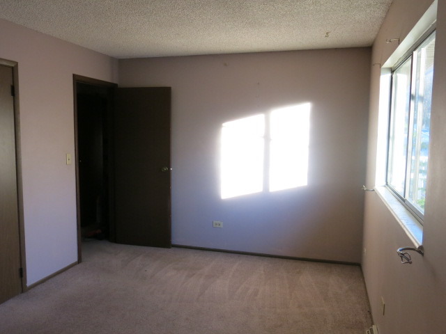 214 Plum Street Lake In The Hills, IL 60156 - Photo 2 of 9