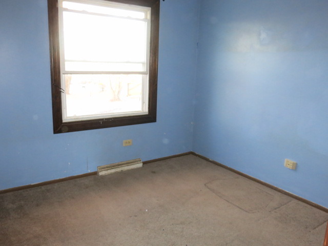 214 Plum Street Lake In The Hills, IL 60156 - Photo 4 of 9