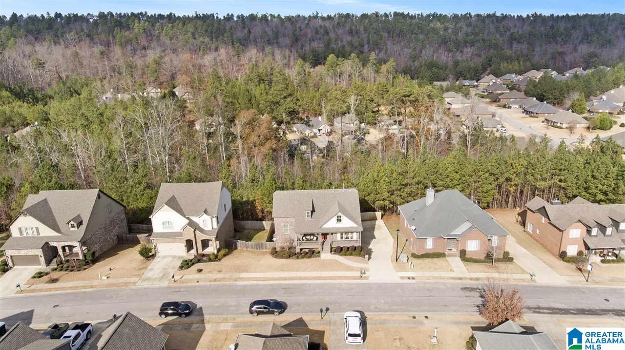 112 Chesser Loop Road Chelsea, AL 35043 - Photo 41 of 45