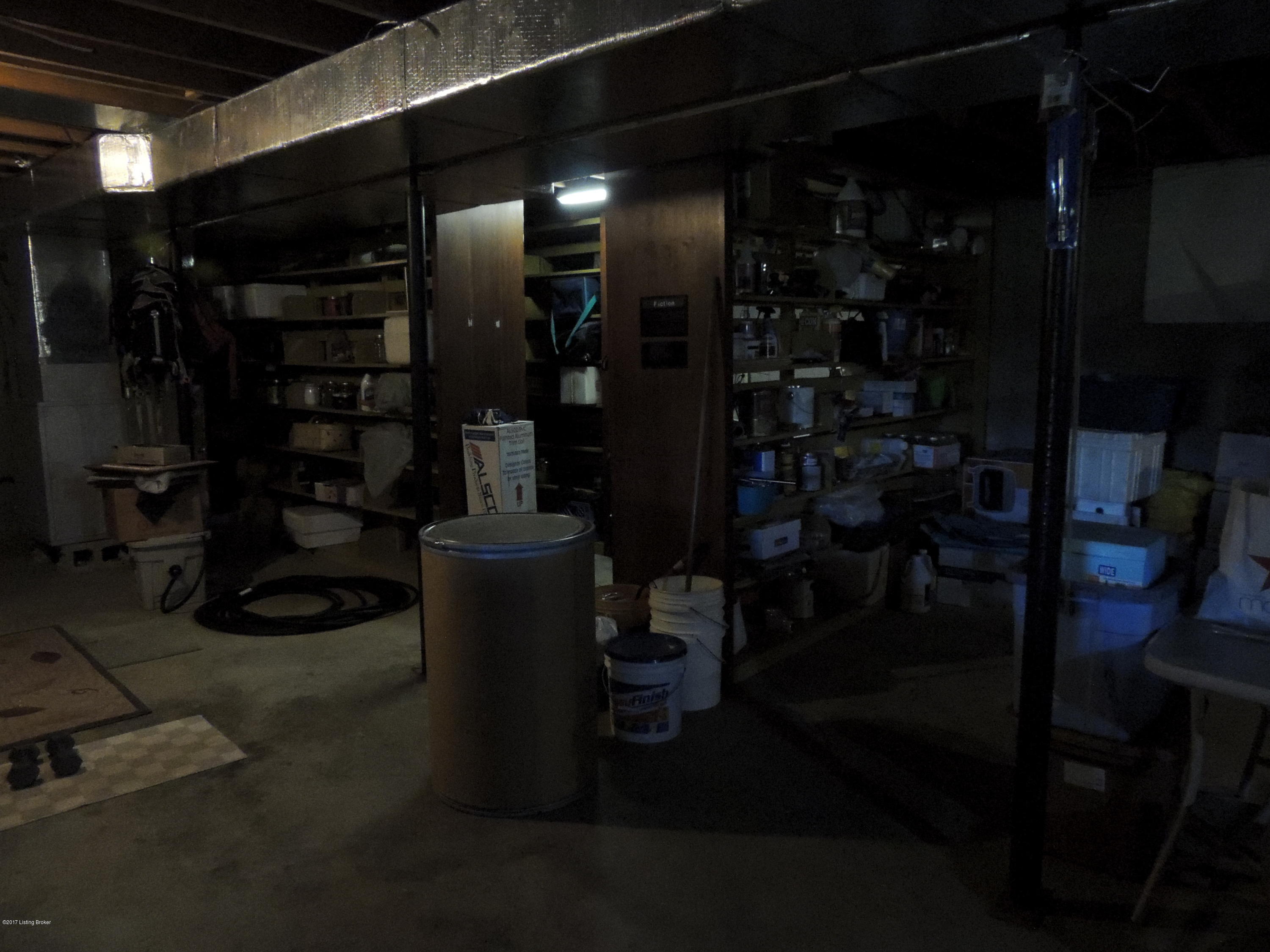 1365 Lenore Road Coxs Creek, KY 40013 - Photo 26 of 35 Basement