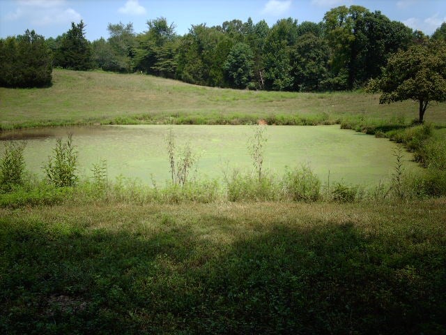Ac Borders Road Smiths Grove, KY 42171 - Photo 12 of 14 Gallery Image 12