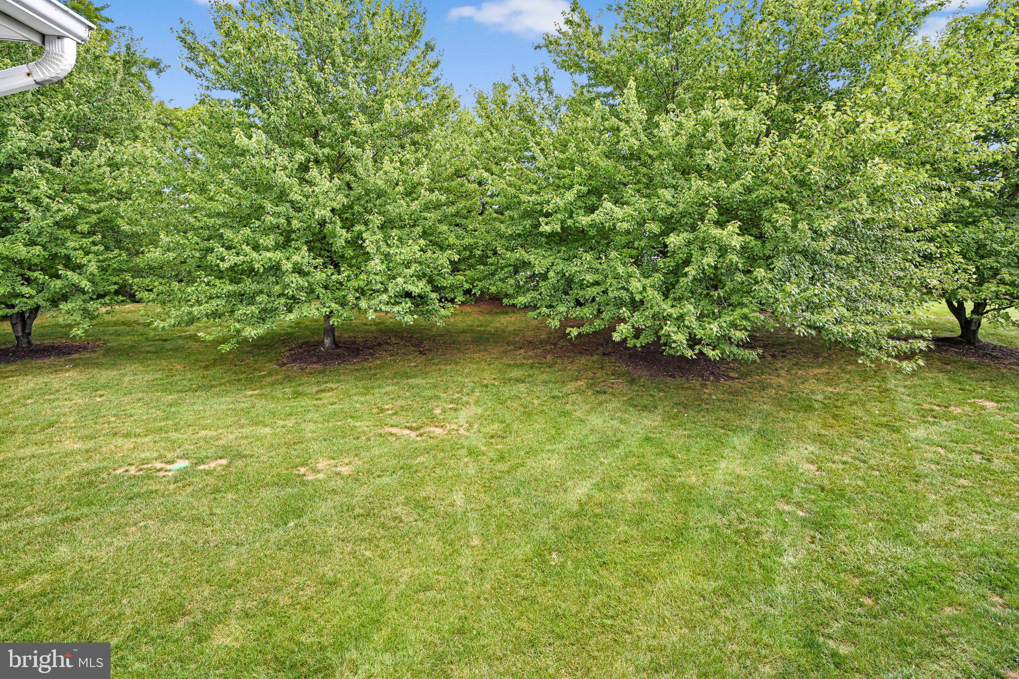 375 Tri Hill Road York, PA 17403 - Photo 32 of 41 Backyard