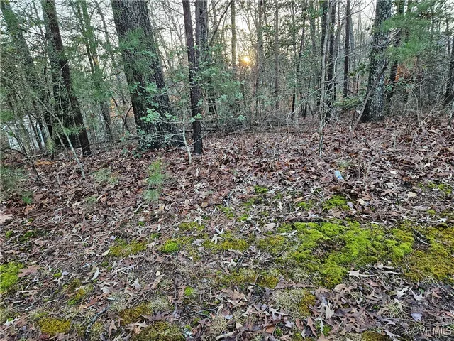 $79,900 | 291 Land Or Drive, Ruther Glen, VA 22546