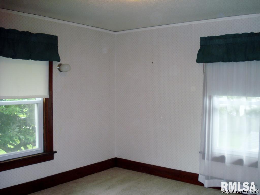 122 South Center Street Oneida, IL 61467 - Photo 30 of 36 Gallery Image 30