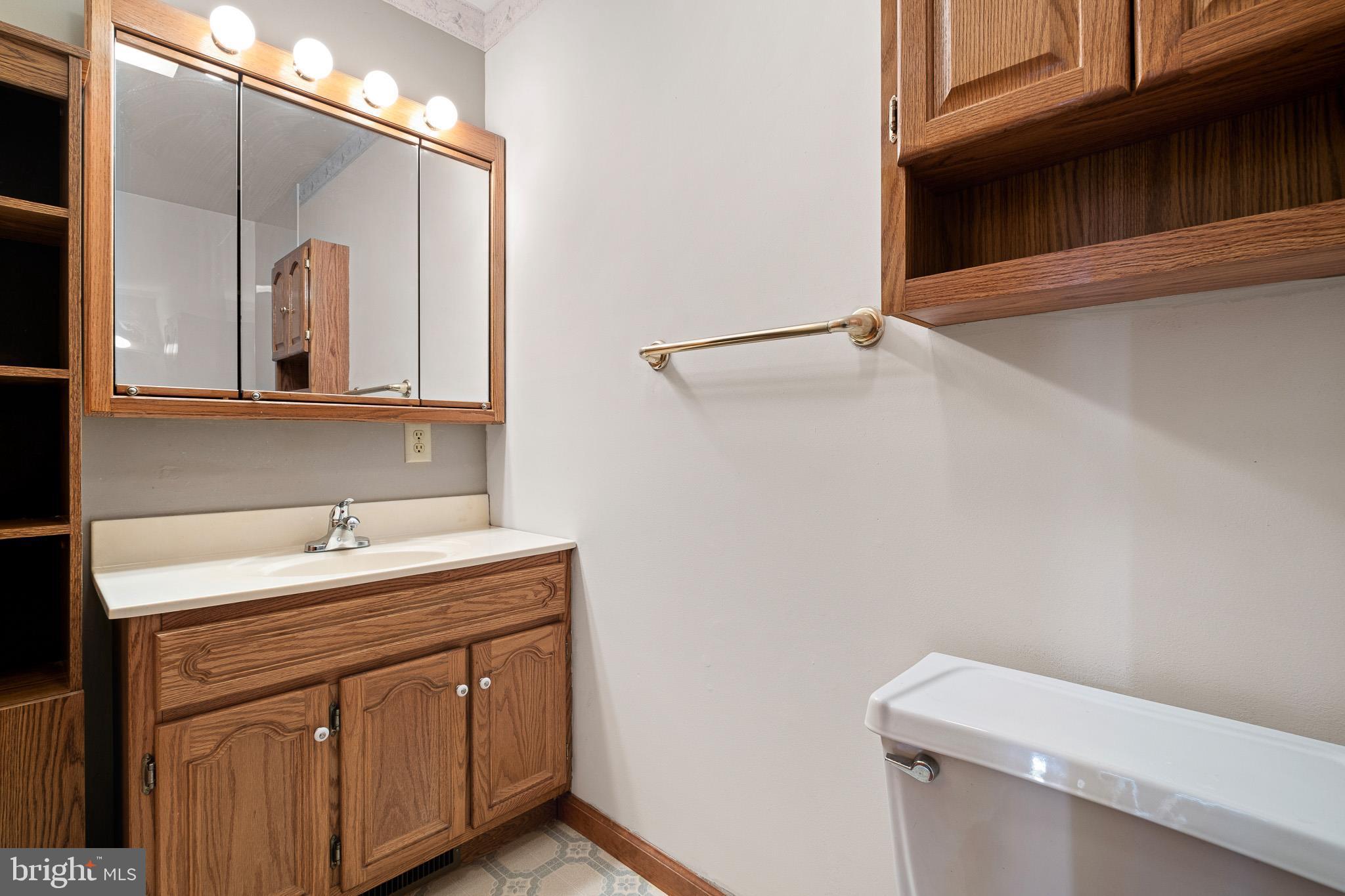 39 Long Drive Elkton, MD 21921 - Photo 34 of 39 a bathroom with a sink a vanity and a toilet