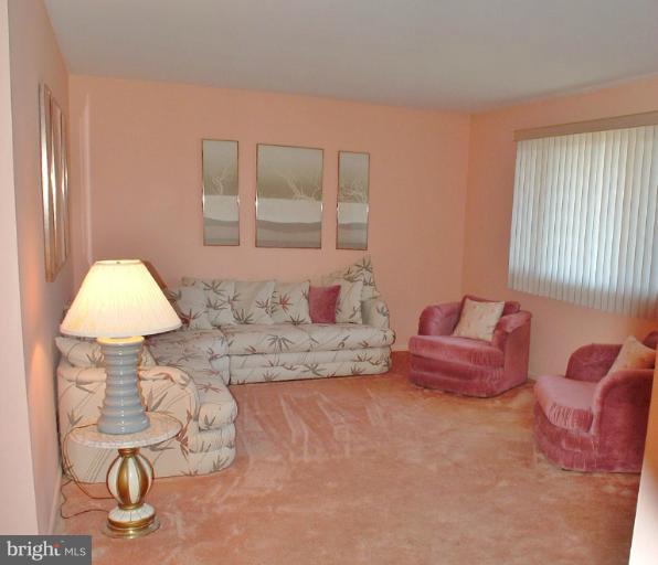 3818 Cassandra Road Randallstown, MD 21133 - Photo 6 of 20 Living Room