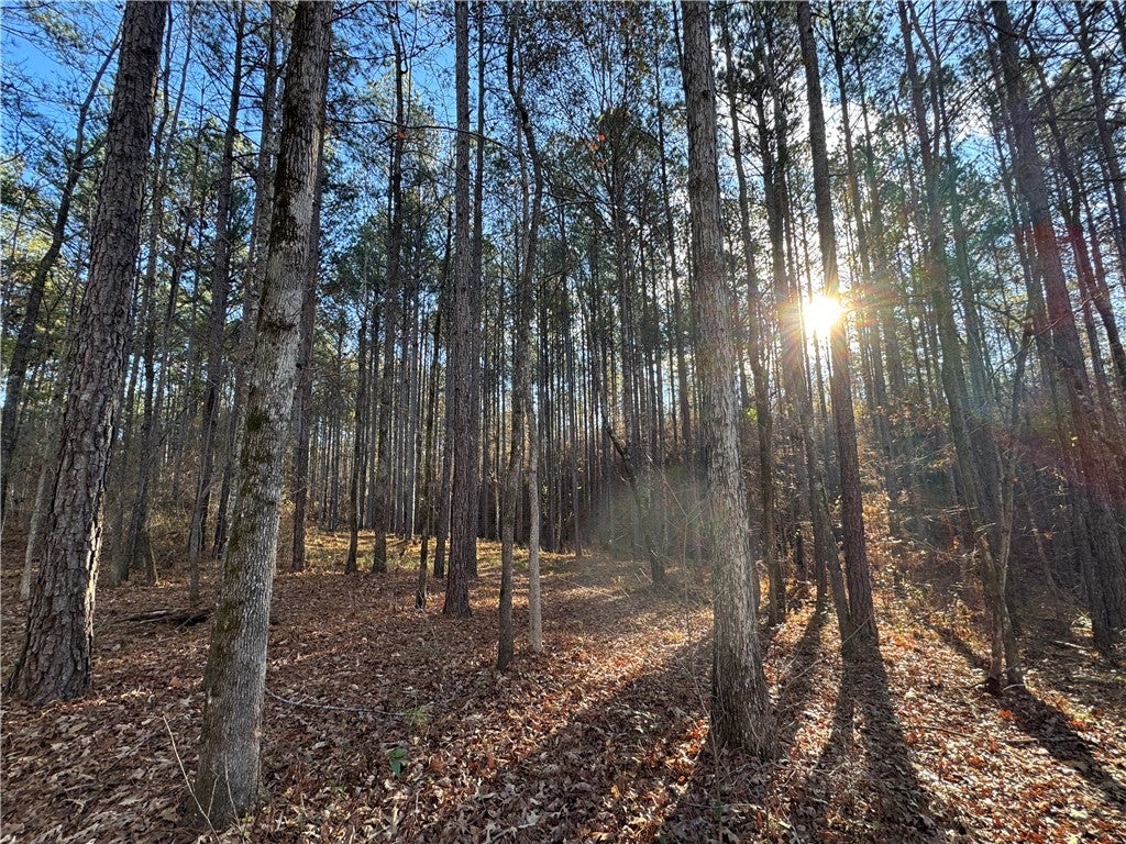 0 Farmville Road Camp Hill, AL 36850 - Photo 23 of 35 Gallery Image 23