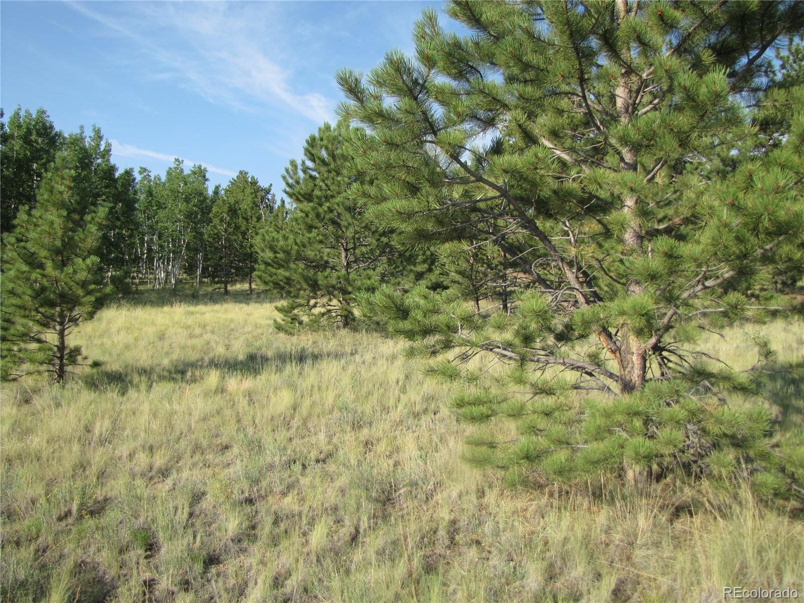 9736 Ranch Road Hartsel, CO 80449 - Photo 19 of 30 Gallery Image 19