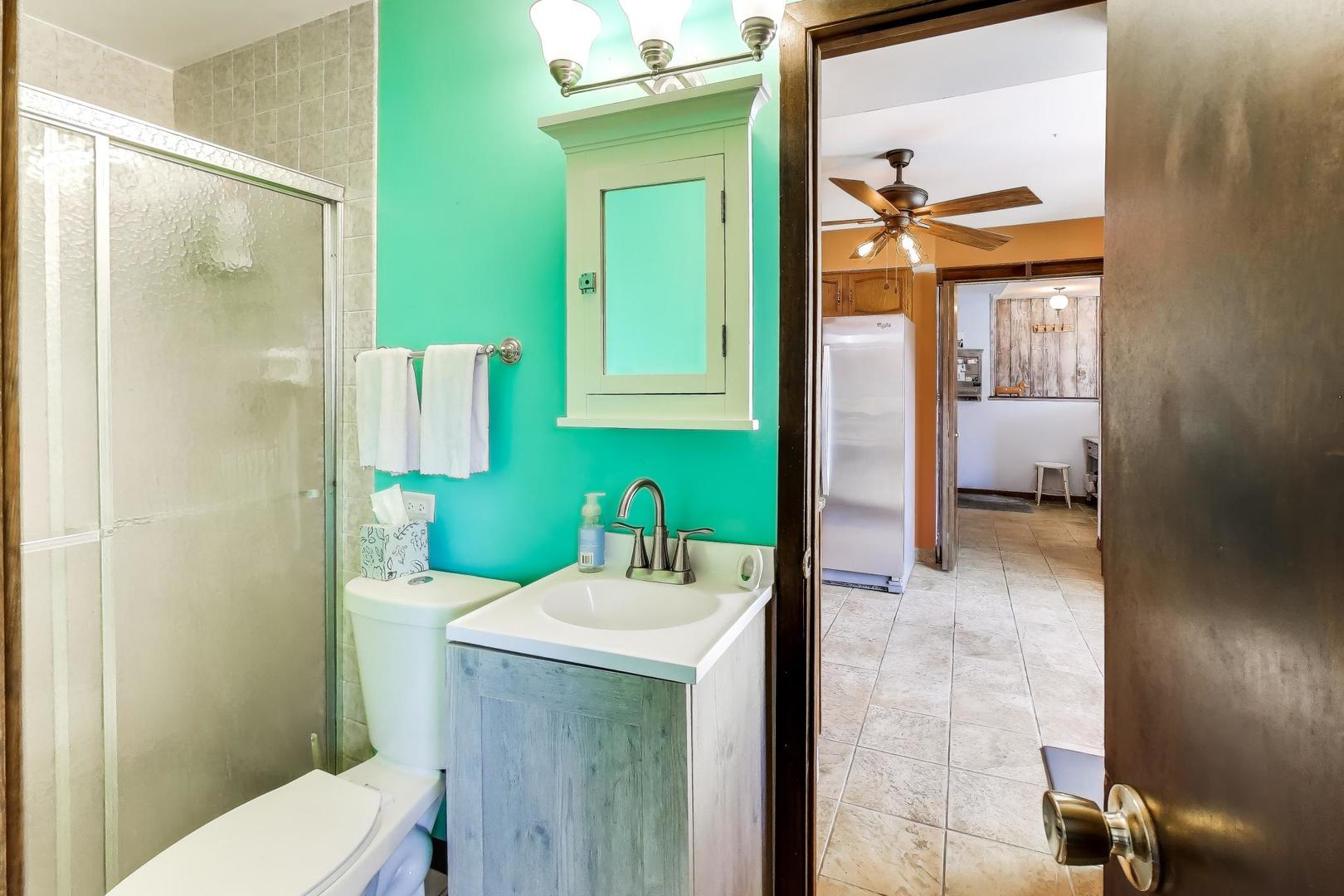 1075 Apricot Street Hoffman Estates, IL 60169 - Photo 12 of 28 a bathroom with a sink toilet and shower