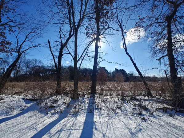 a view of a backyard of the house