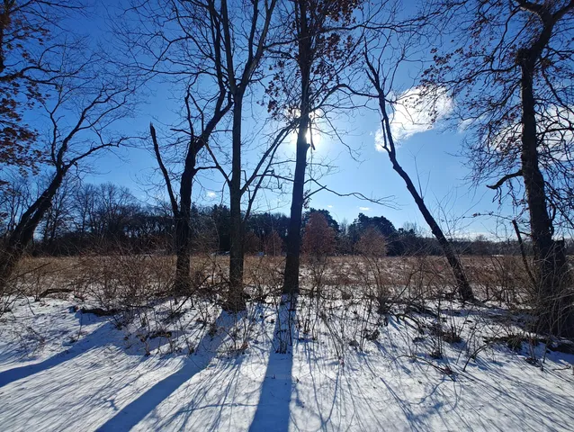 a view of a backyard of the house