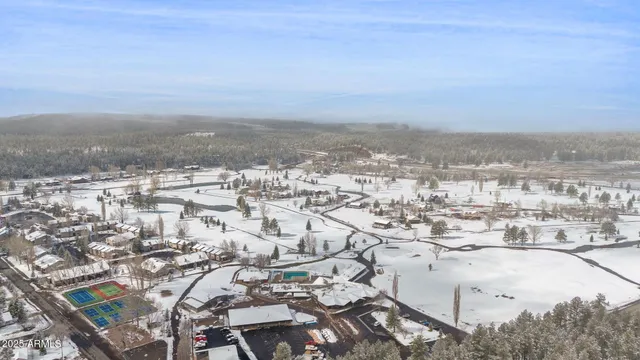 a view of a lake in middle of forest