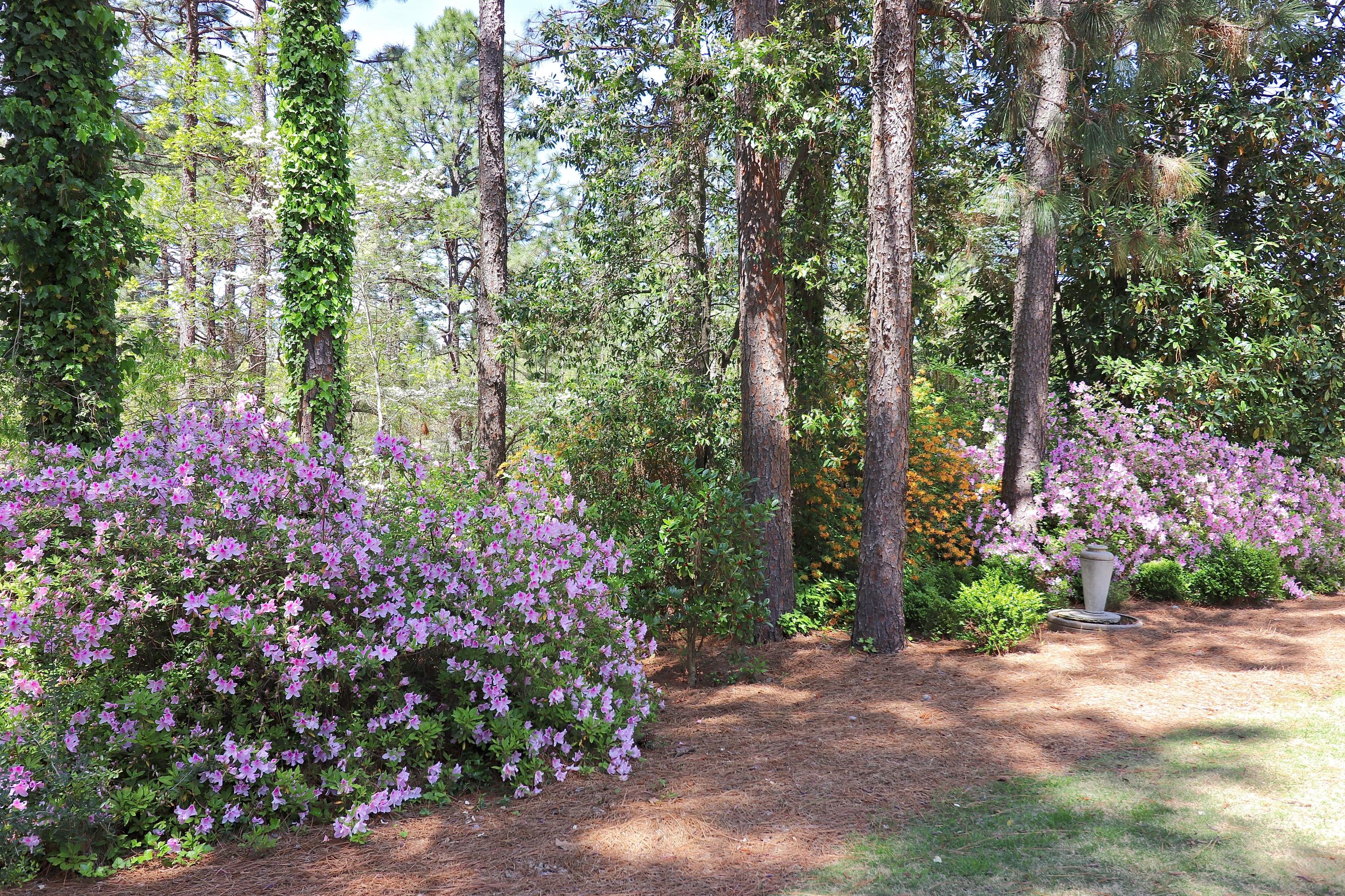 590 Pee Dee Road Southern Pines, NC 28387 - Photo 51 of 60 Backyard