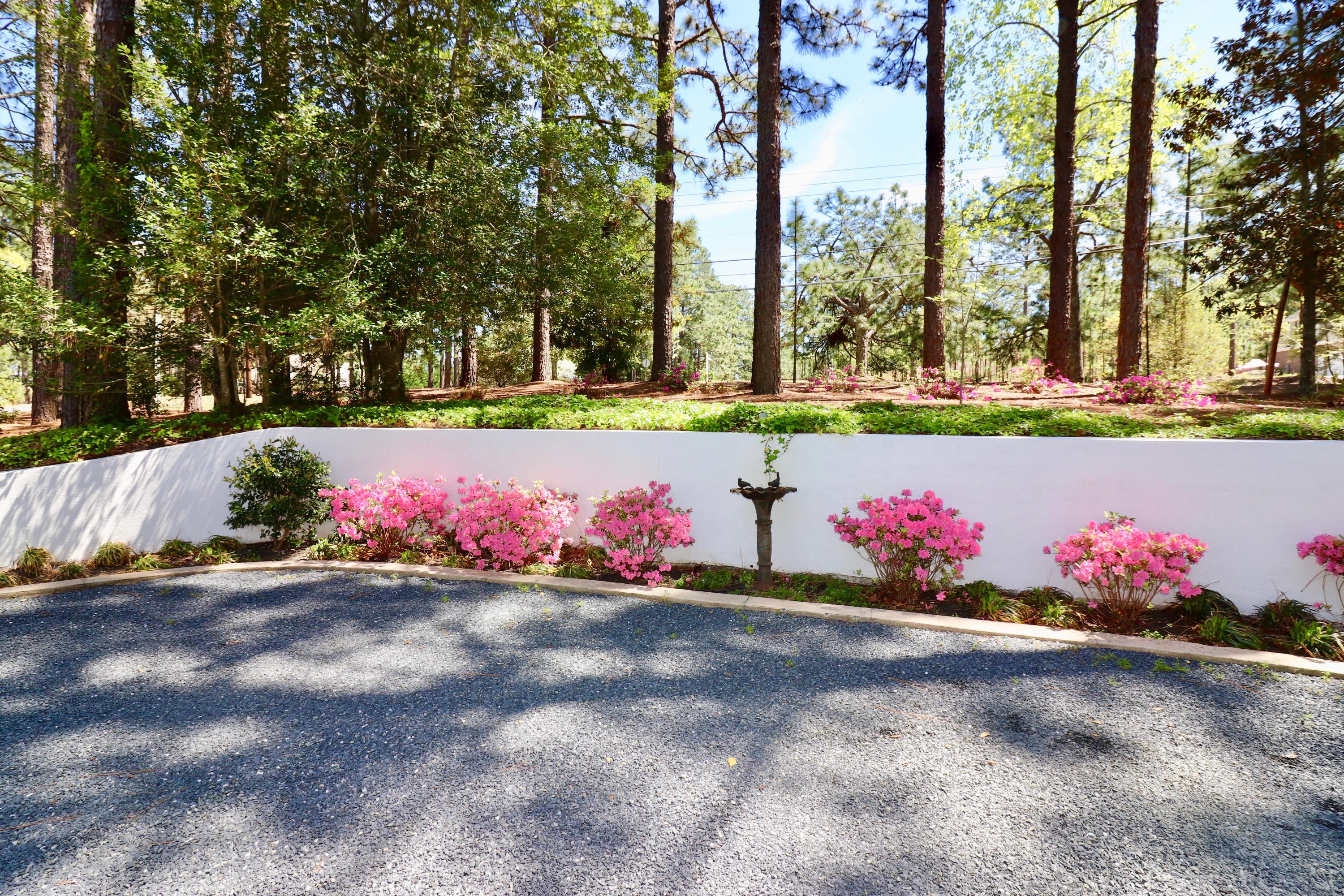 590 Pee Dee Road Southern Pines, NC 28387 - Photo 7 of 60 Azaleas in bloom