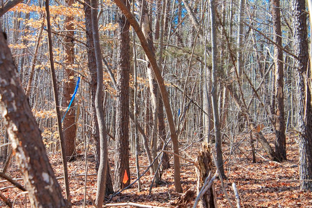 5811 Deer Run Road Farmville, VA 23901 - Photo 6 of 10 Gallery Image 6