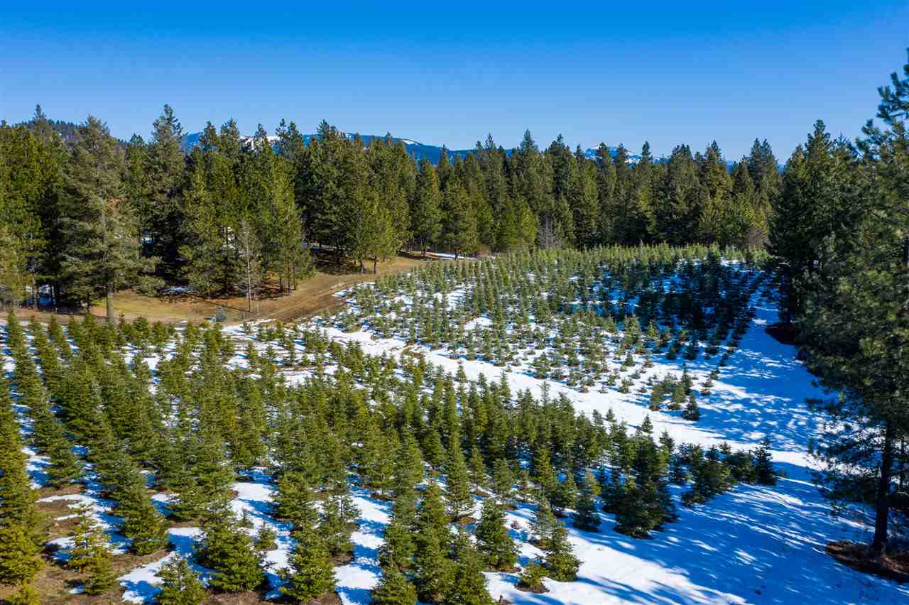 14012 North Norman Road Spokane, WA 99217 - Photo 14 of 17