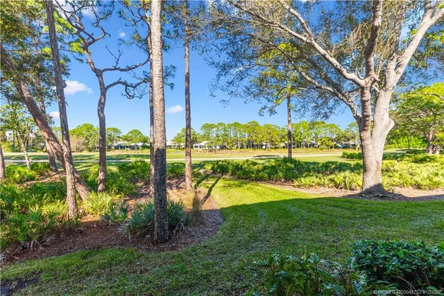 a view of a garden with a tree