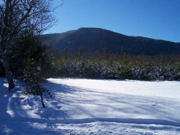 Lot 002 Whittier Road Tamworth, NH 03890 - Photo 1 of 1 Gallery Image 1