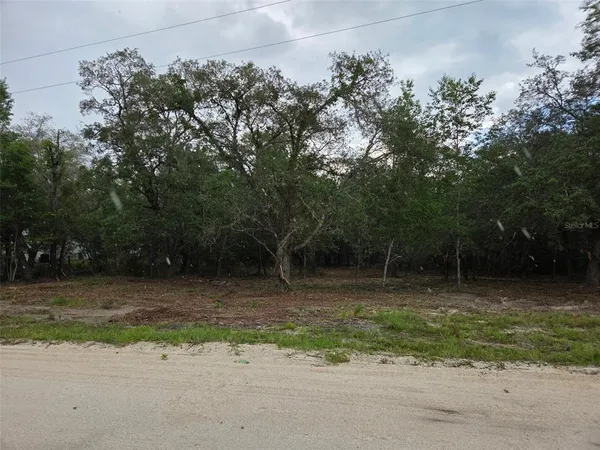 $32,000 | 21531 Southeast 68th Lane, Morriston, FL 32668