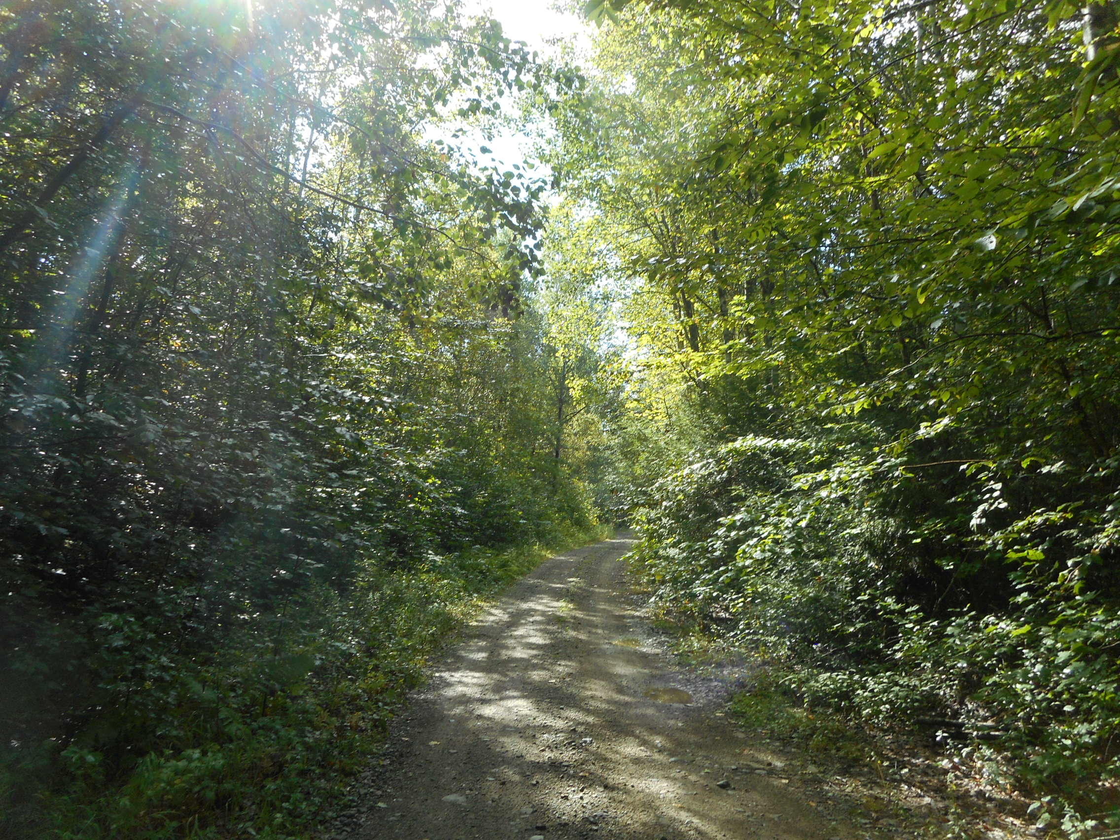 Tbd Long Point Road Lakeville, ME 04487 - Photo 2 of 9 DSCN2673