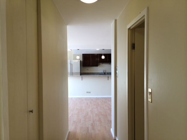 4281 West 76th Street, Unit 207 Chicago, IL 60652 - Photo 13 of 13