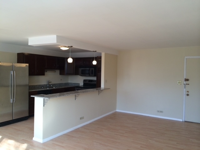 4281 West 76th Street, Unit 207 Chicago, IL 60652 - Photo 4 of 13