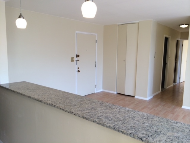 4281 West 76th Street, Unit 207 Chicago, IL 60652 - Photo 5 of 13