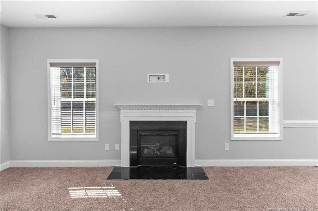 2051 Hayfield Road Wade, NC 28395 - Photo 13 of 36 Photo 13