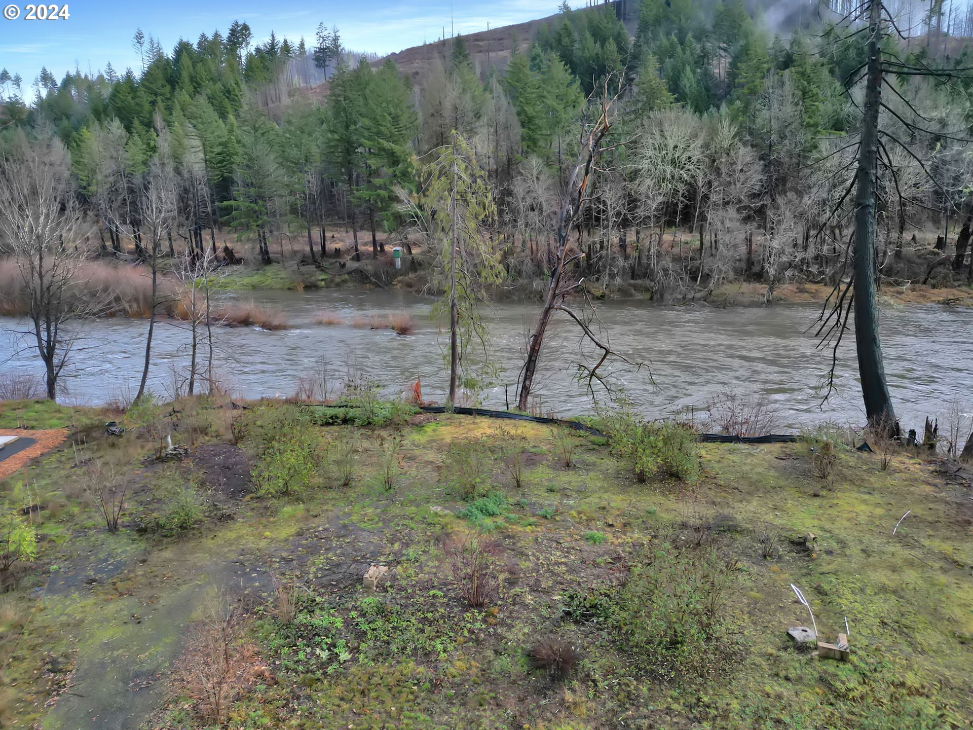 90409 Mountain View Lane Leaburg, OR 97489 - Photo 7 of 18 a view of a backyard