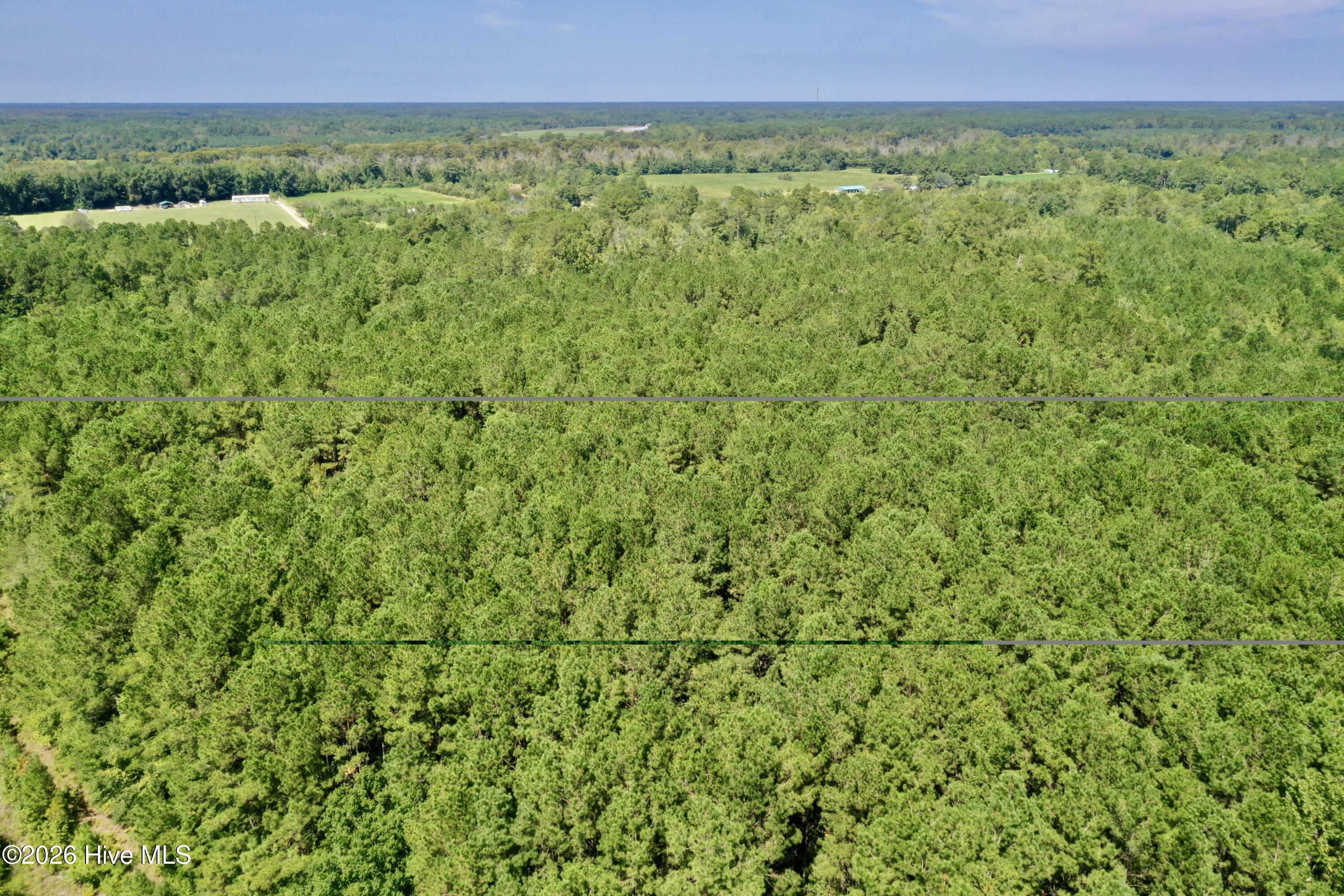 0 Bud Stephens Road Evergreen, NC 28438 - Photo 9 of 12 Gallery Image 9