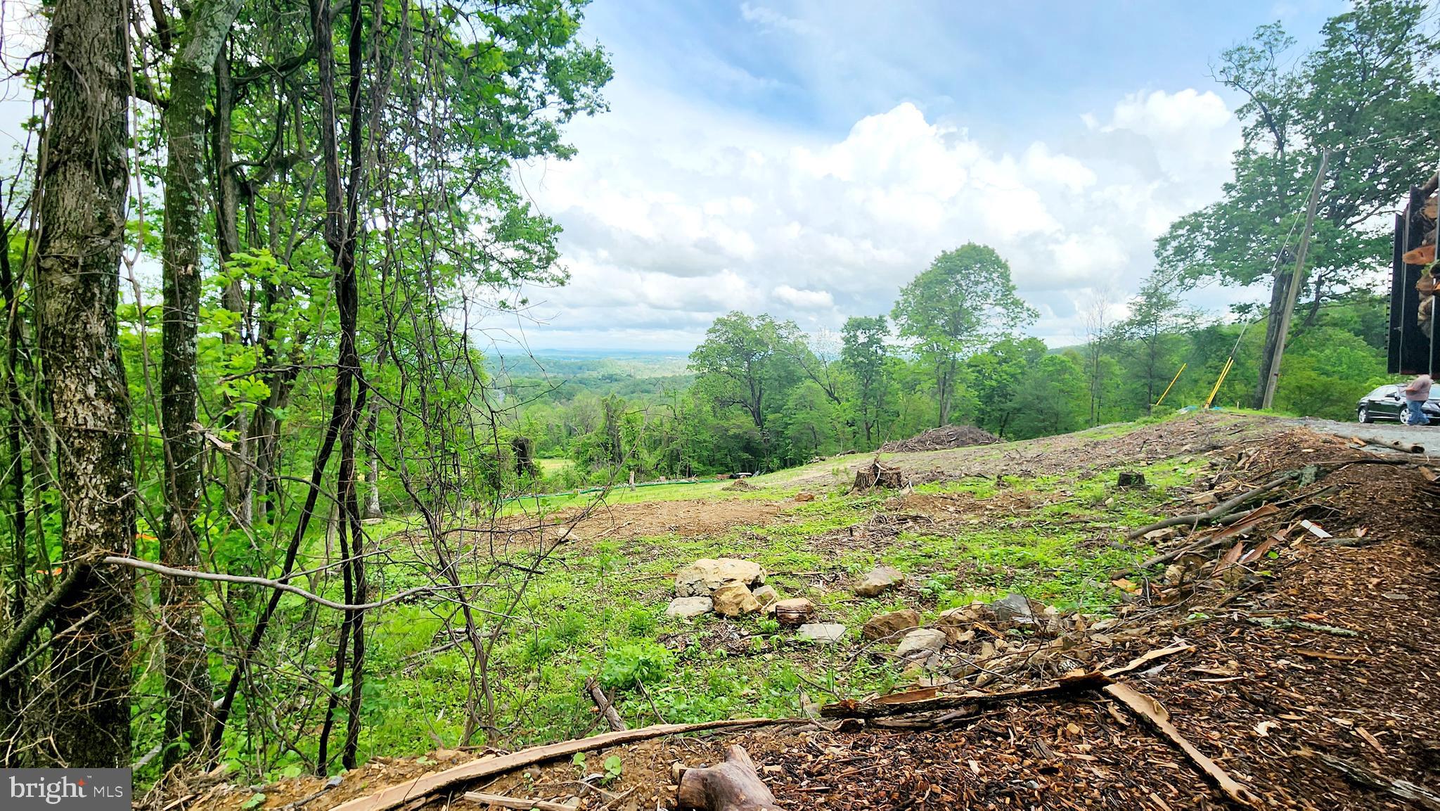 50 Oak Ridge Trail Fairfield, PA 17320 - Photo 7 of 8 a view of a backyard