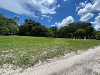 Northeast 4th Street Webster, FL 33597 - Photo 4 of 6