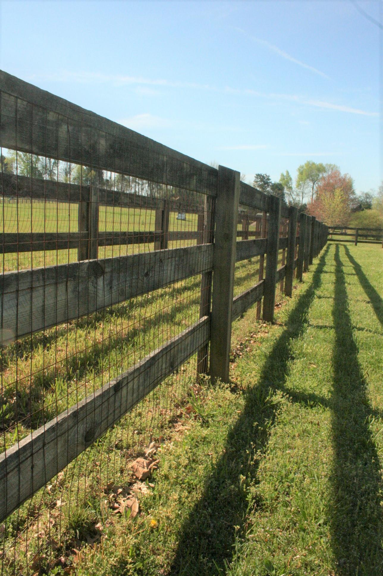 4635 Smiley Road Chapel Hill, TN 37034 - Photo 21 of 22 Large Fenced in Backyard