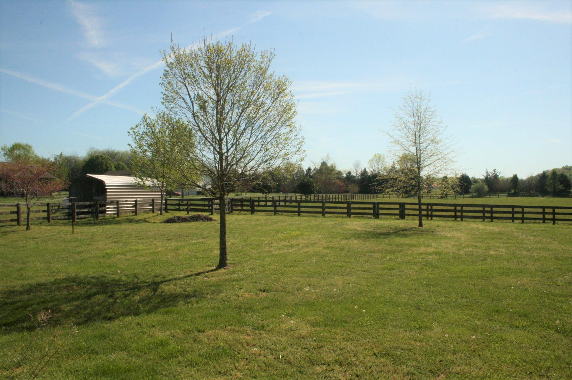 4635 Smiley Road Chapel Hill, TN 37034 - Photo 22 of 22 Large Fenced in Backyard