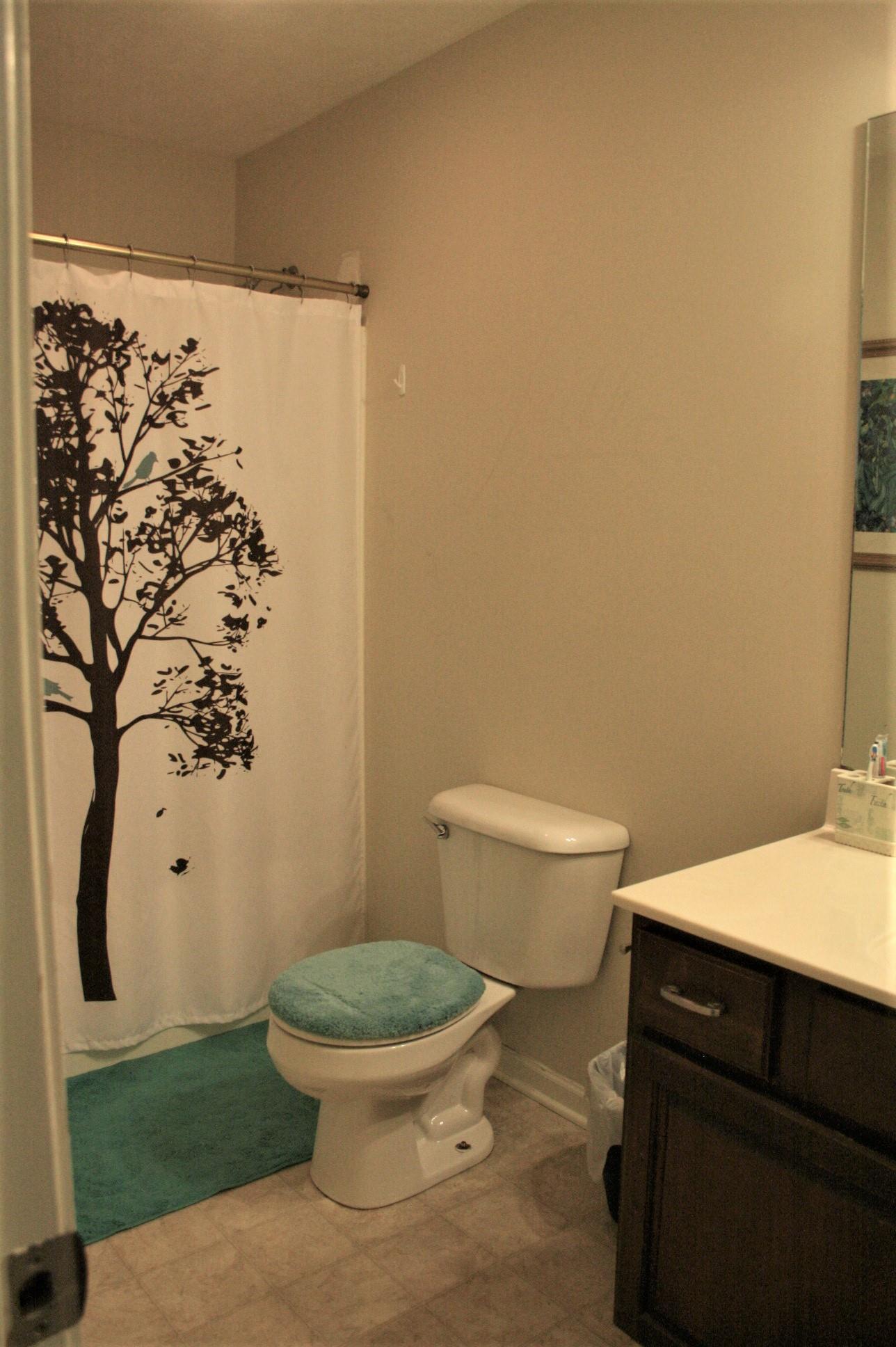 4635 Smiley Road Chapel Hill, TN 37034 - Photo 8 of 22 2nd Bathroom