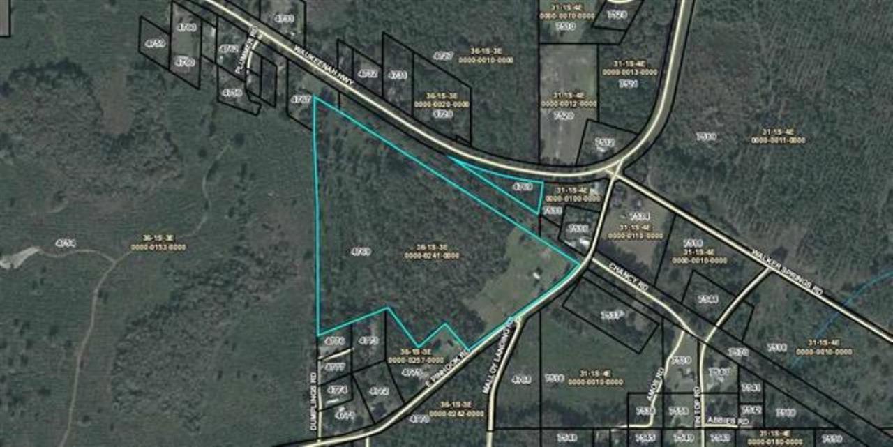 991 East Pinhook Road Monticello, FL 32344 - Photo 1 of 27 Gallery Image 1