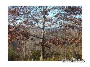 628 Too Sweet Road Sylva, NC 28779 - Photo 4 of 10 Gallery Image 4