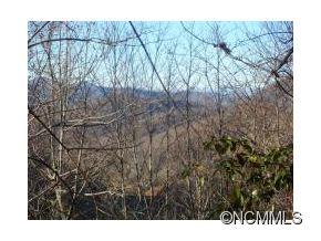 628 Too Sweet Road Sylva, NC 28779 - Photo 6 of 10 Gallery Image 6