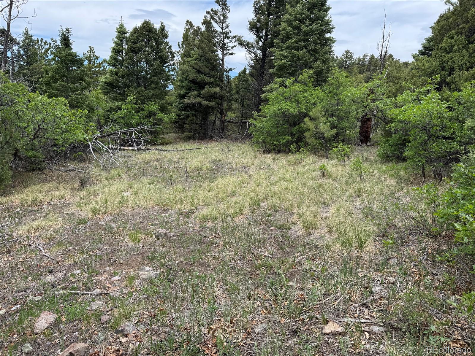 Knotty Pine Road Salida, CO 81201 - Photo 12 of 42 Gallery Image 12