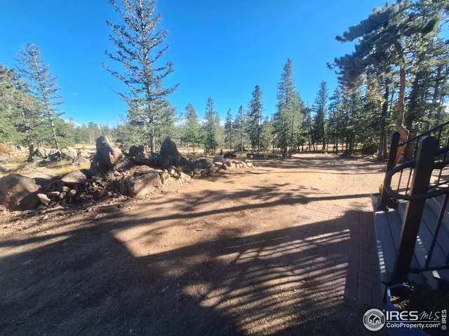 a view of a yard with trees in the background