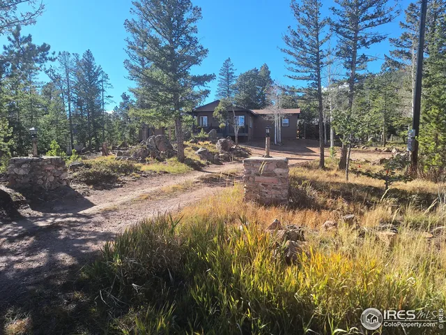 a view of a yard with plants and trees