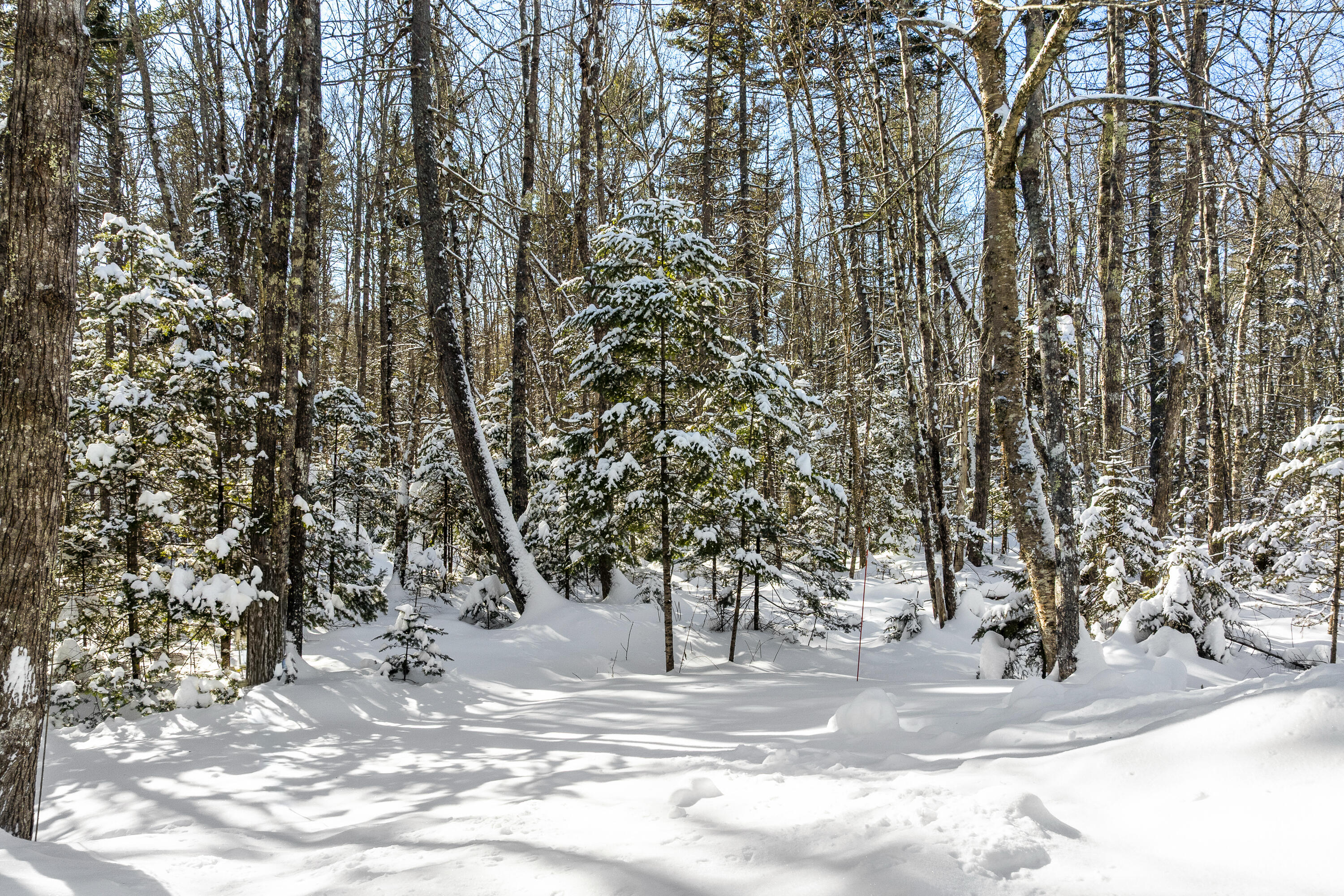 441 Splitrock Road Bristol, ME 04539 - Photo 38 of 77 73-441 Split Rock Rd, Bristol, ME-TP