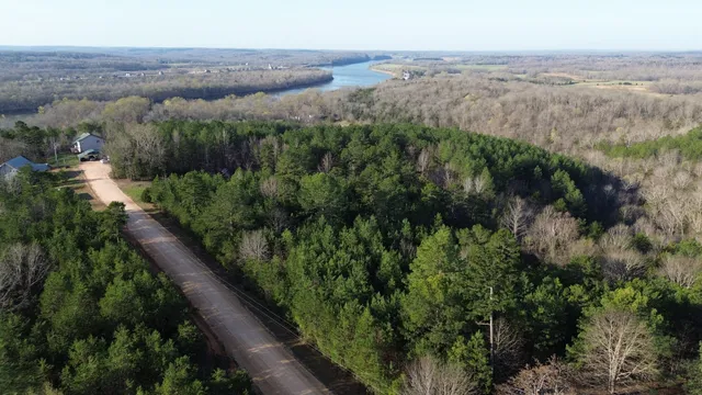 an aerial view of green landscape with trees and houses