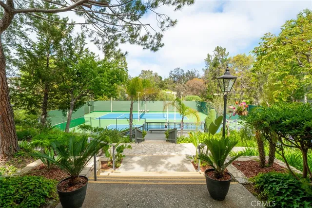 a view of a garden with plants