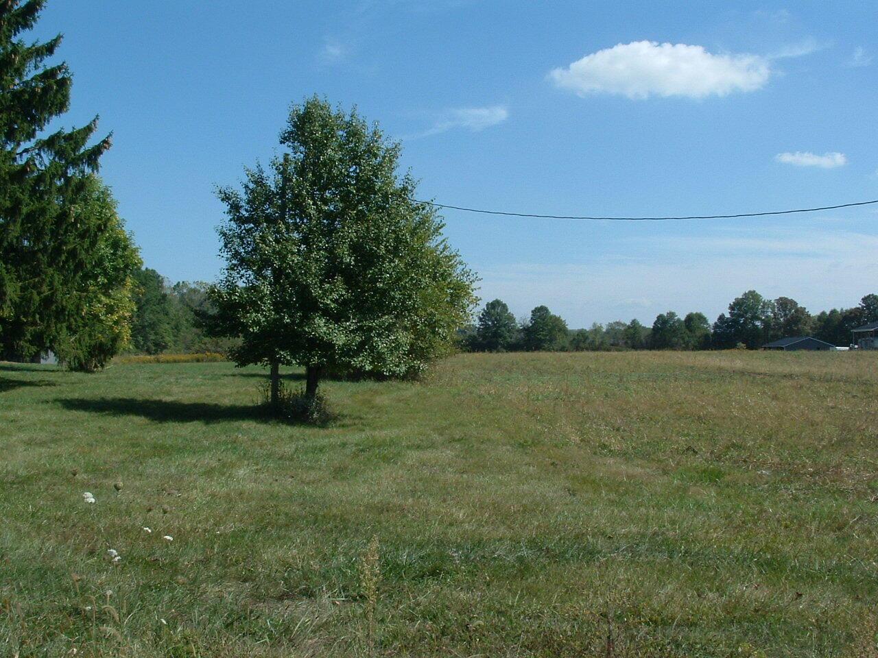 0 Nichols Lane Road Northwest Johnstown, OH 43031 - Photo 3 of 22 DSCF0002
