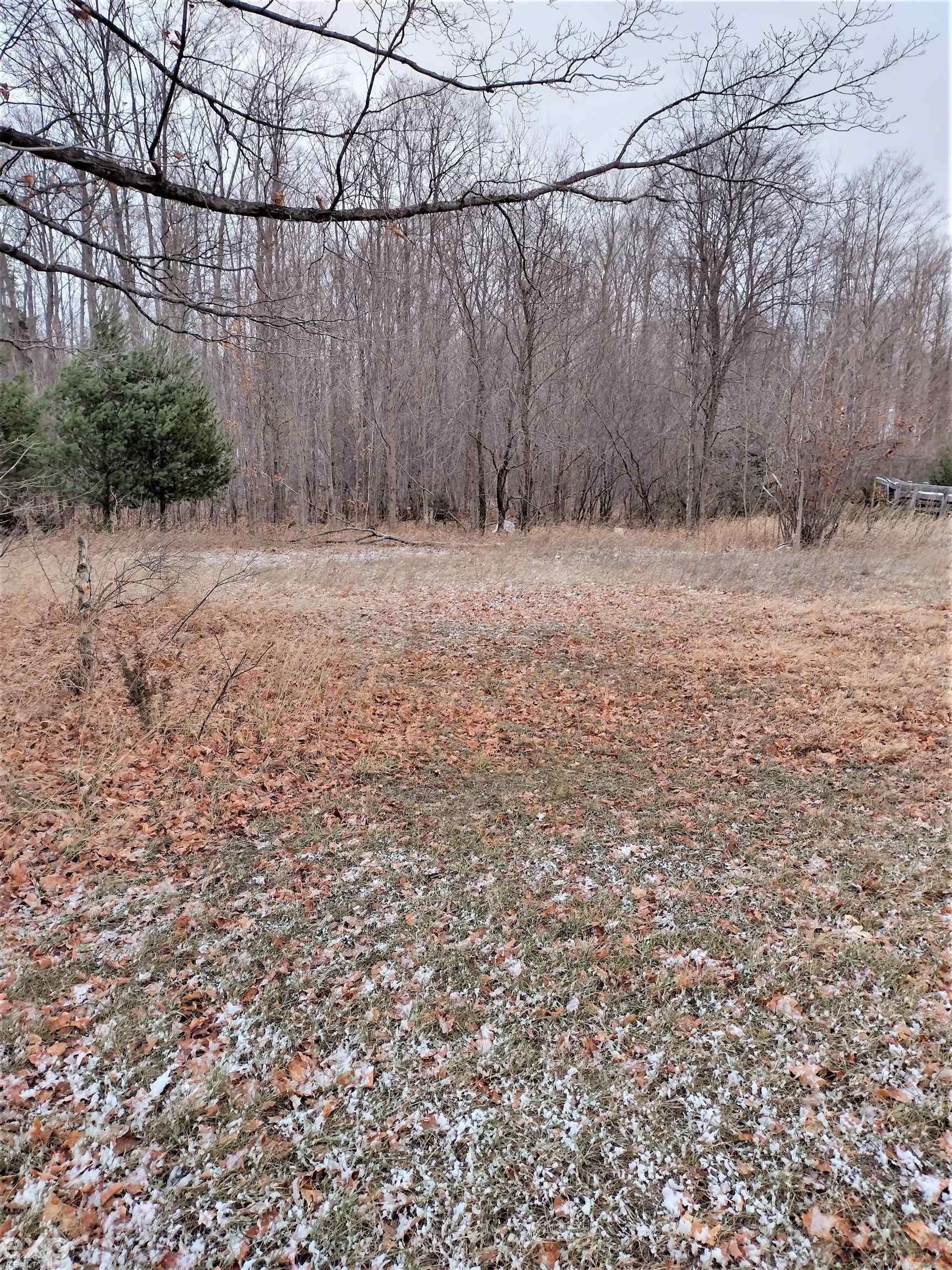 907 South Marshall Road Beulah, MI 49617 - Photo 14 of 29 Gallery Image 14