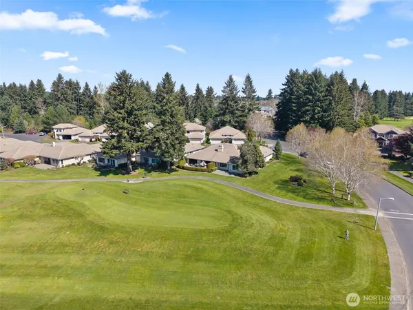a view of a park with large trees